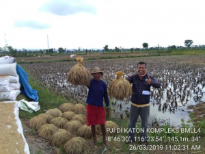 Read more about the article Pendampingan Masyarakat Petani Pemakai Air